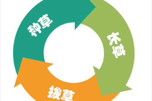 种草营销的基本模式是什么？如何有效运用这些模式？