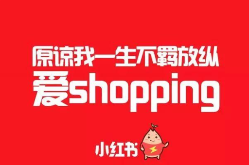小红书付费曝光的方式是什么？小红书的曝光规则有哪些？