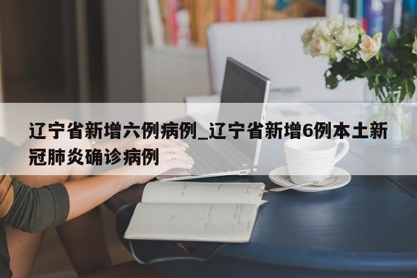 辽宁省新增六例病例_辽宁省新增6例本土新冠肺炎确诊病例