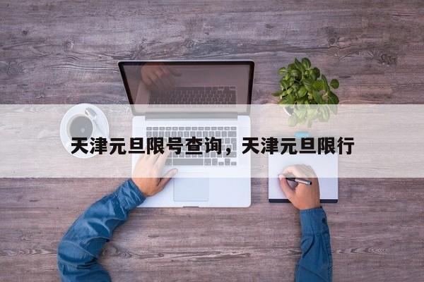 天津元旦限号查询，天津元旦限行